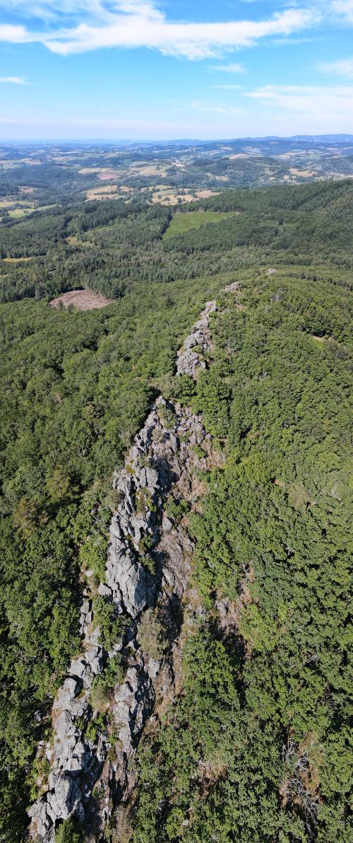 Filon de Quartz - Rez de Sol et Pierre du Sang [09-07-2022](1020).jpg